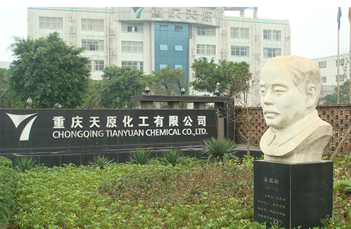 11  重庆天原化工.JPG