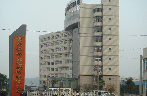 12  重庆索特盐化.JPG