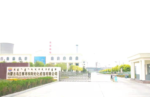 3  内蒙古东阳光.jpg