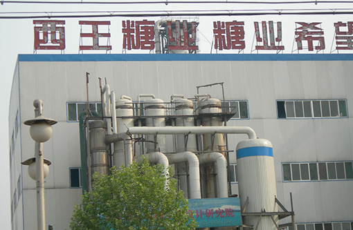 5  山东西王糖业.JPG