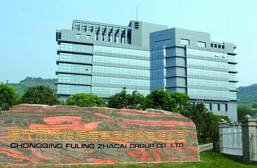 8  涪陵榨菜集团.jpeg