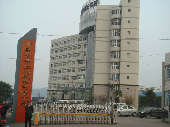 2  重庆索特盐化.JPG